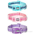 Reflective Dog Collars Small with Soft Two-tone Webbing